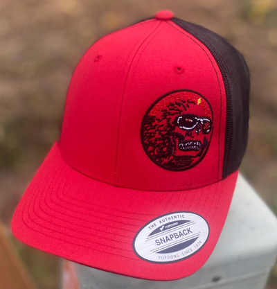 Grateful Disc Allah Snapback 2022