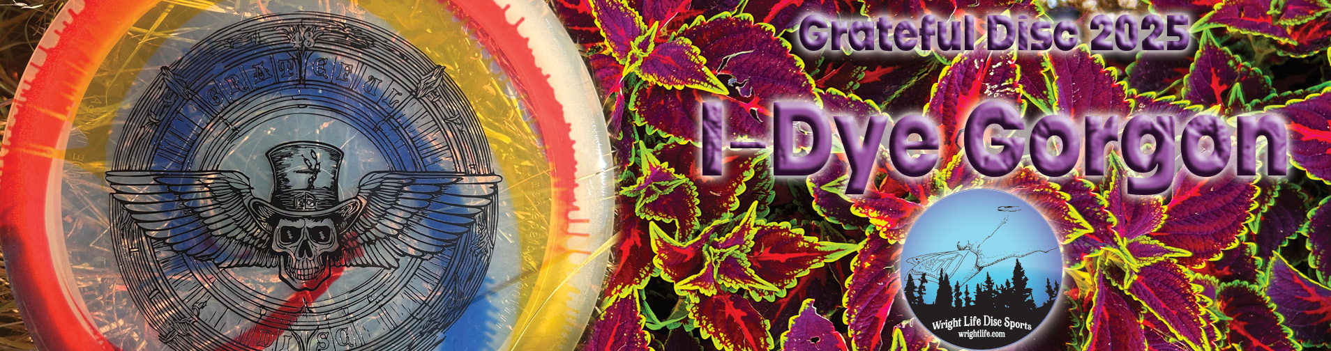 A person performing a chest roll freestyle frisbee maneuver