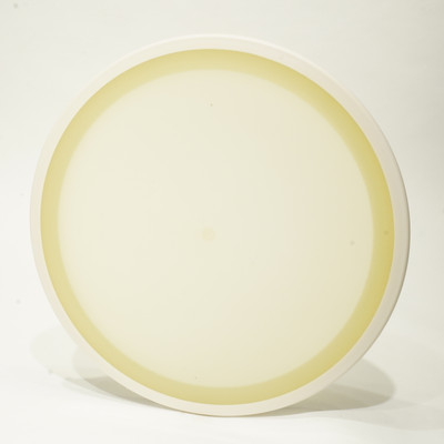 MVP Eclipse Resistor - Blank Top