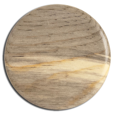 WOOD DISC GOLF MINI TROPHY OR COASTER